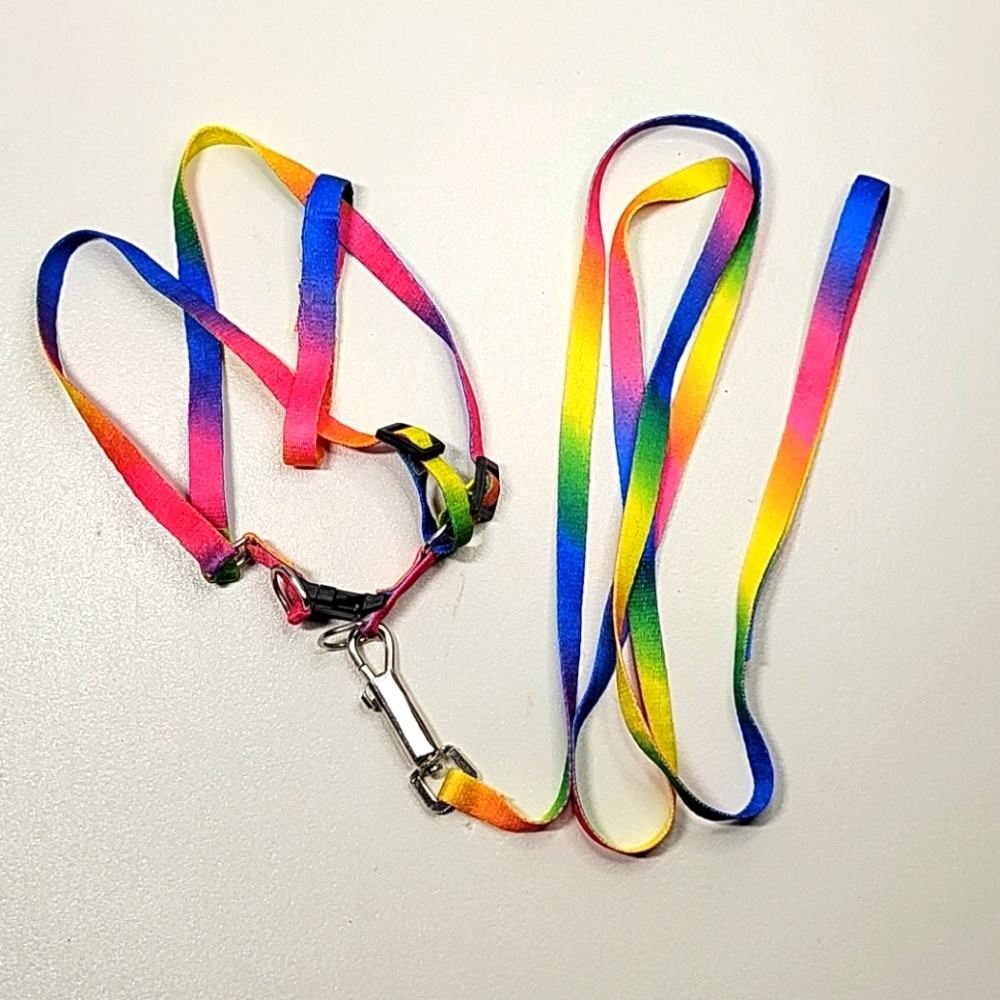 Dog leash & harness 2pc rainbow set NEW